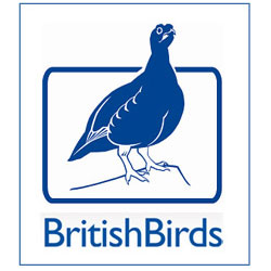 BritishBirds