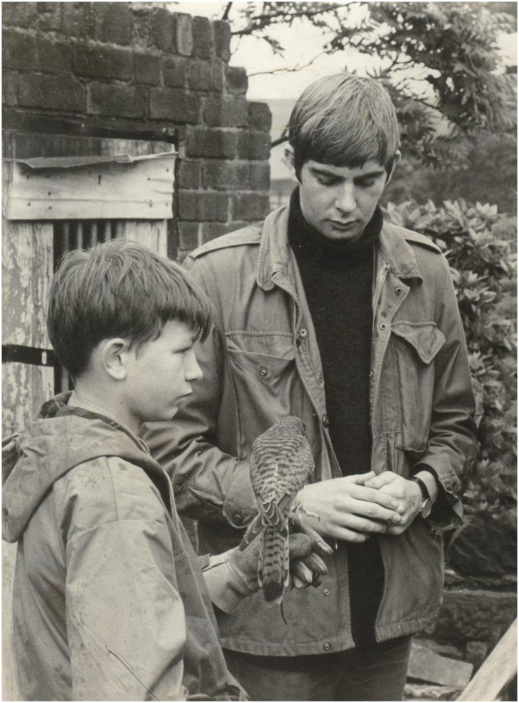 Photo of David Bradley holding one of the kestrels from the film Kes along with Richard from 1968